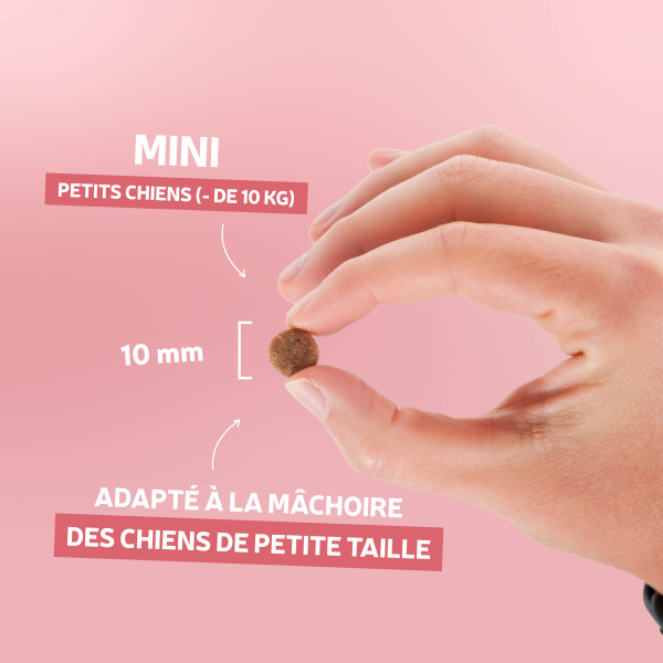 Croquettes Originelle mini adulte saumon sans céréales - 400g