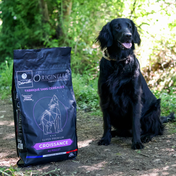 Croquettes Originelle croissance poulet sans céréales - 12 kg