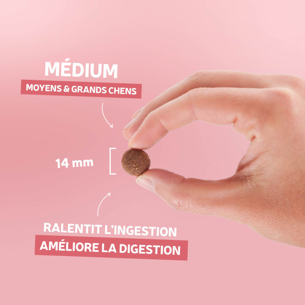 Croquettes Originelle adulte saumon sans céréales - 12 kg