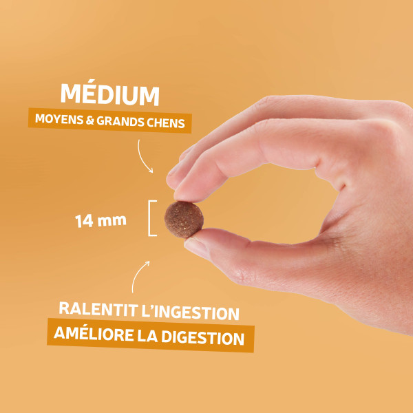 Croquettes Originelle adulte poulet sans céréales - 400g