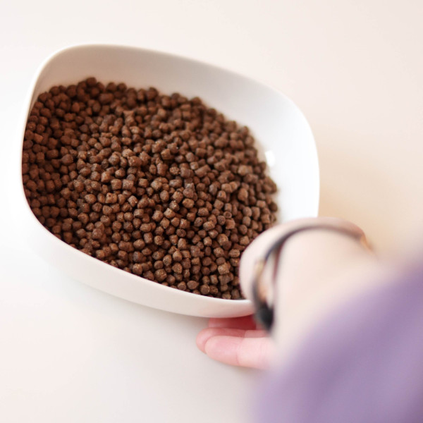 Croquettes Essentielle chaton poulet - 3 kg