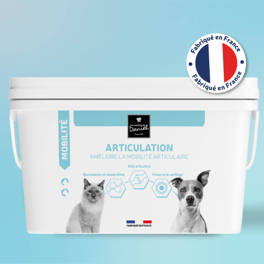 Articulation -  2 kg