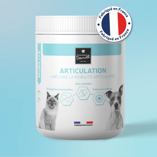 Articulation -  600 g