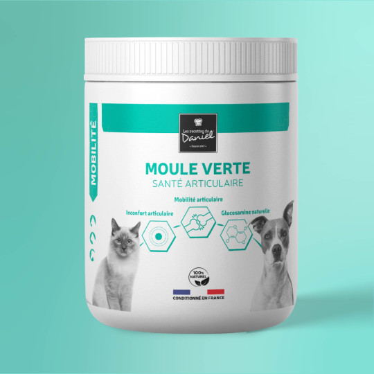 Moule verte - 750 g