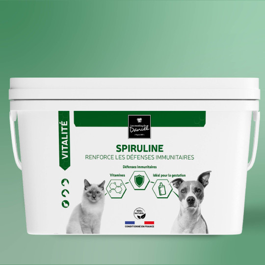 Spiruline - 2 kg