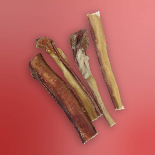 Nerf de bœuf - Mastication naturelle chiens - 12cm - 1kg - Les Recettes de Daniel