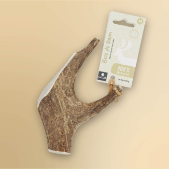 Bois de daim - Taille M