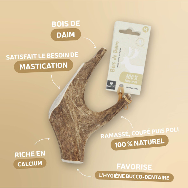 Bois de daim - Taille M