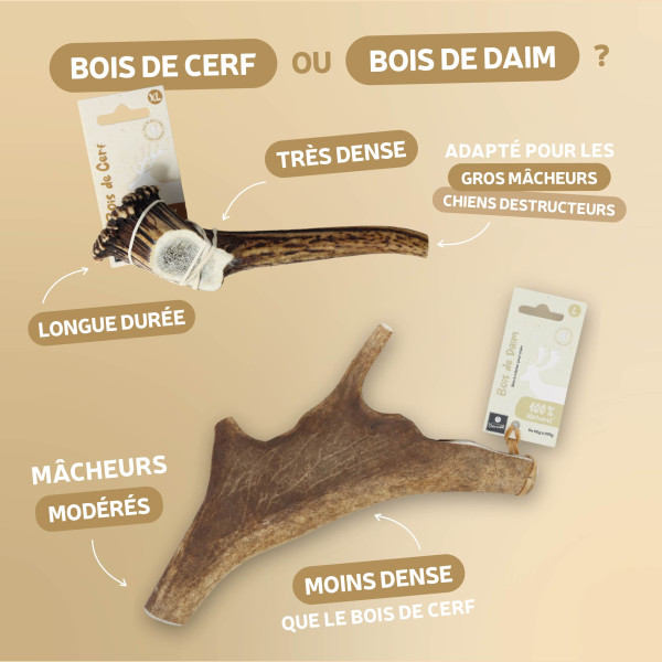 Bois de daim - Taille M