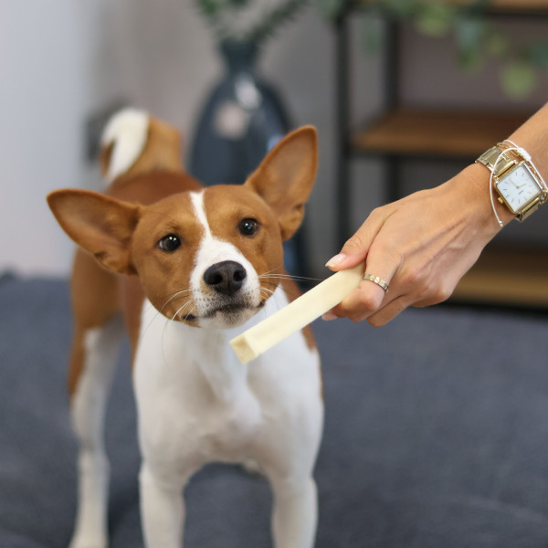 Fromage séché nature pour chien