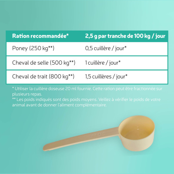 EquiVital Moule verte - 2,8 Kg