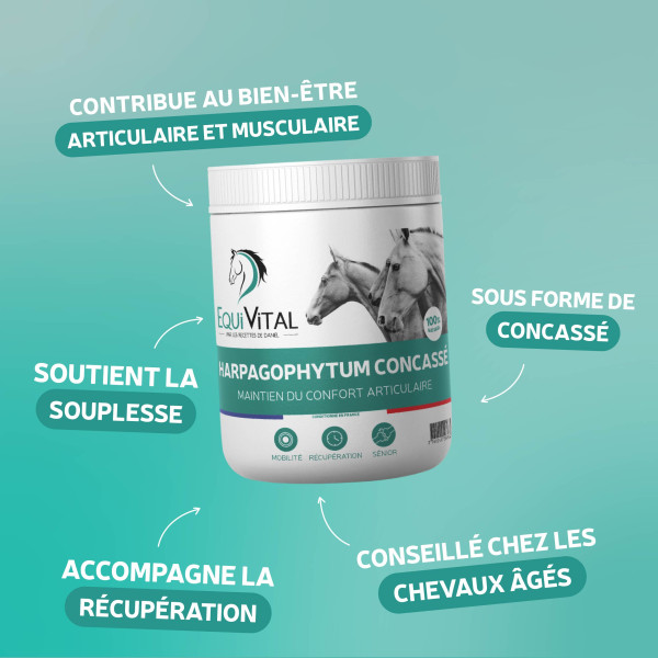 Harpagophytum chevaux en granulés - Equi’Vital 700 g : caractéristiques