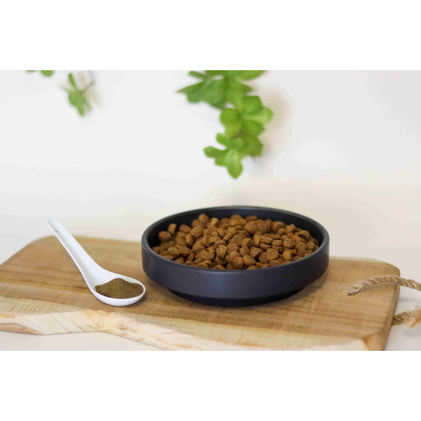 KELP - Hygiène bucco dentaire - poudre