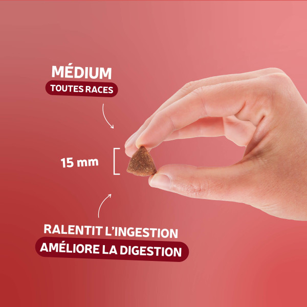 Croquettes CROQ'ACTIVE - 20 kg