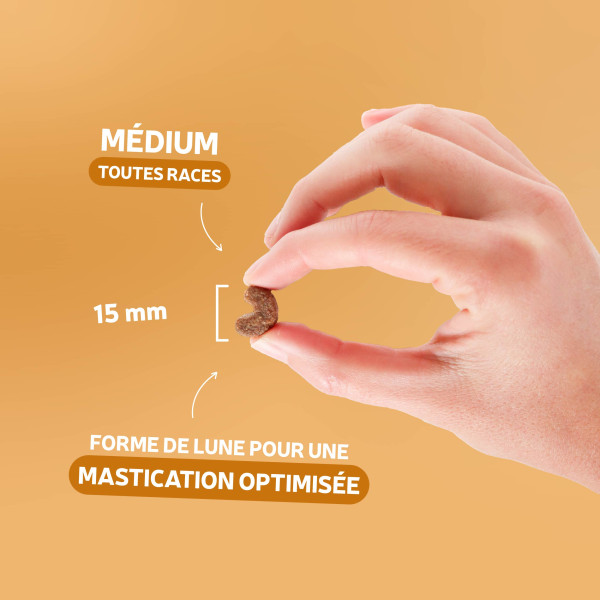 Croquettes Essentielle Chien Adulte - à la volaille 14 kg