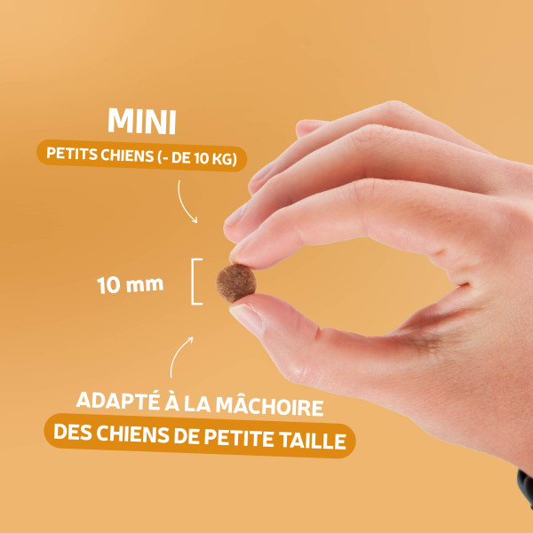 Croquettes Traditionnelle - Adulte Mini au Canard - échantillon 400g