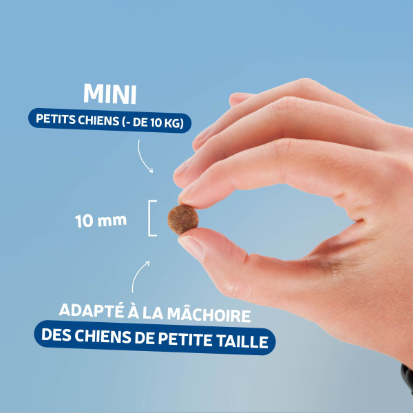 Croquettes Traditionnelle - Adulte Mini à l'Agneau - échantillon 400g