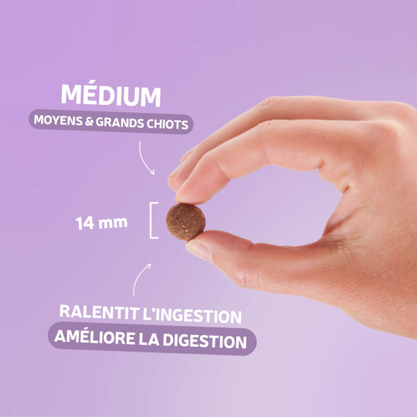 Croquettes chien - Originelle croissance - au poulet sans céréales 400g