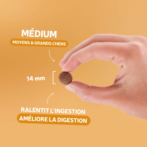 Croquettes chien - Originelle adulte - au poulet sans céréales 400g