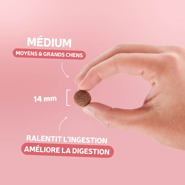 Croquettes Originelle chien adulte - au saumon sans céréales 12 kg