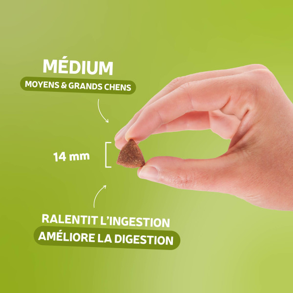 Croquettes chien - Originelle allégé - au poulet sans céréales 12 kg