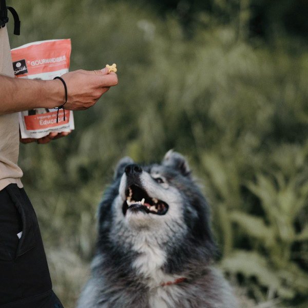 Gourmandises Éducation - 400g