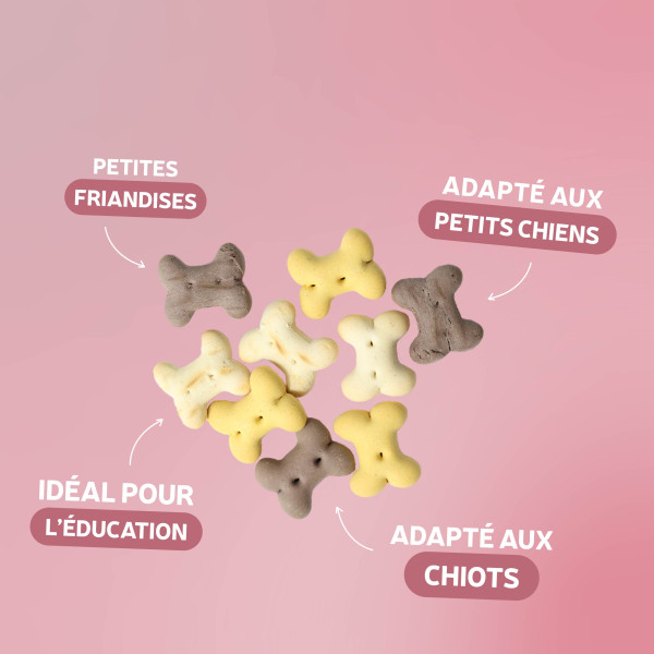 Gourmandises Éducation - 4,5 Kg