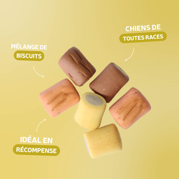 Gourmandises Mini Fourrés - 4,5 Kg