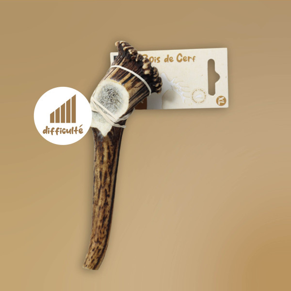 Bois de cerf entier pour chien – Tailles XL