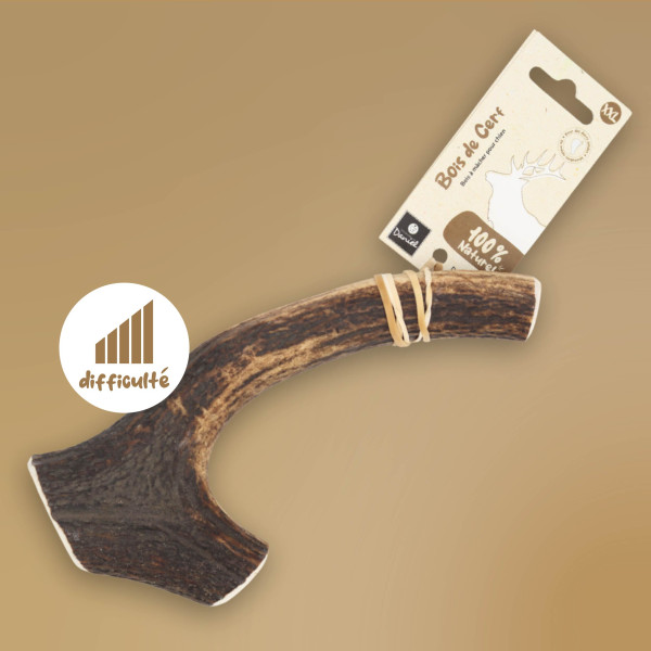 Bois de cerf entier pour chien – Tailles  XXL