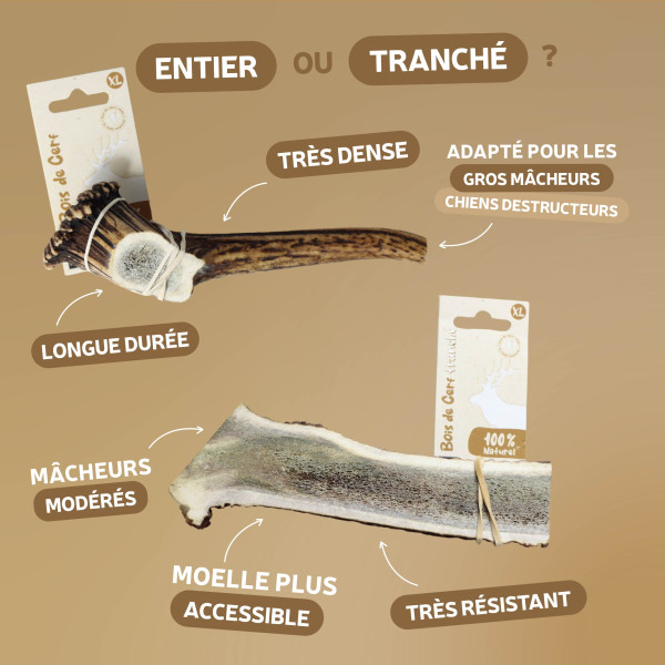Bois de cerf entier pour chien