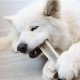 Bois de cerf tranché naturel pour chien