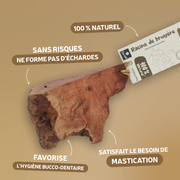 Racine de bruyère pour chien