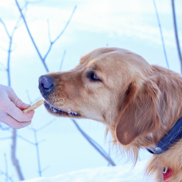 Gourmandises Multi Mix