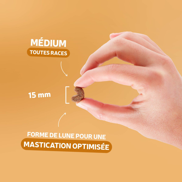 Croquettes Essentielle chien Adulte - à la volaille 14 kg