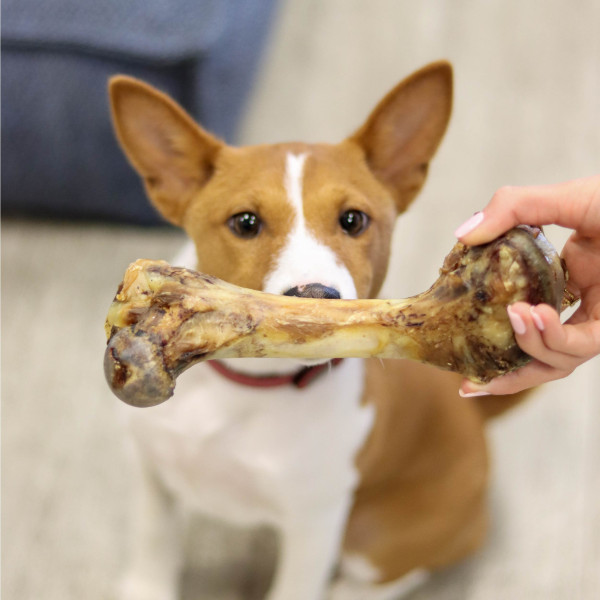 Os de jambon séché