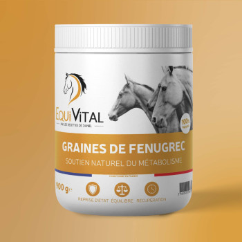 Graine de fenugrec - Equivital 900g