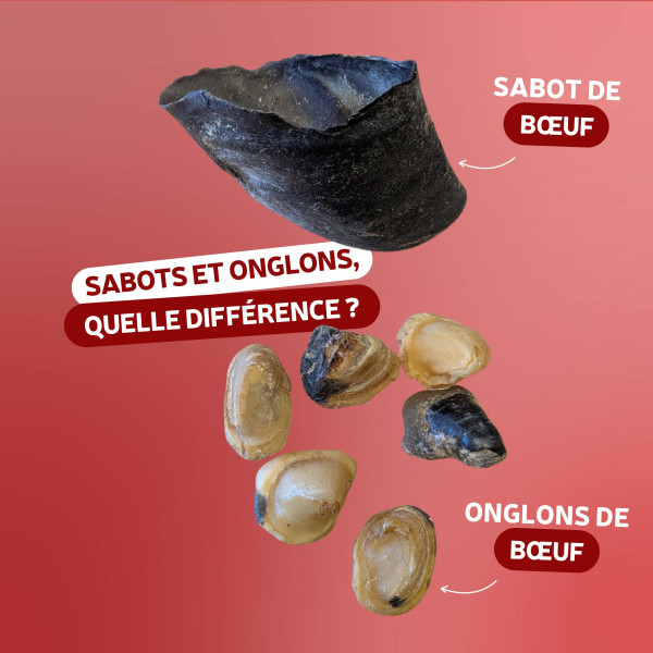 Onglons de boeuf - 200g