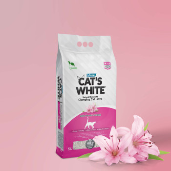 Litière baby powder 5L - Cat's white