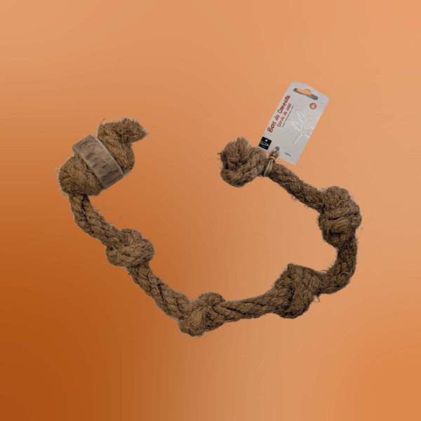 Corde à nœuds pour chien en noix de coco et anneau en bois de cannelle