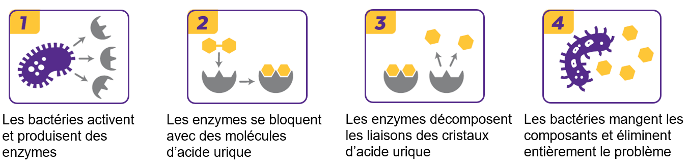 Capture d’écran 2022-08-04 155758.png