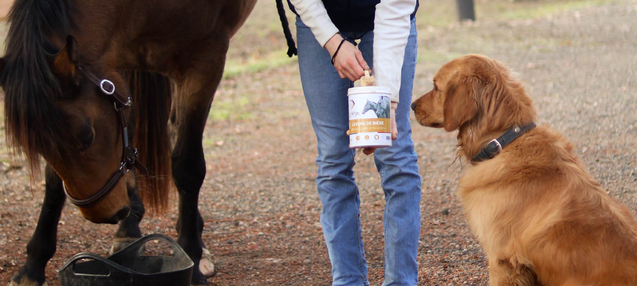 Equivital, née d'une double passion