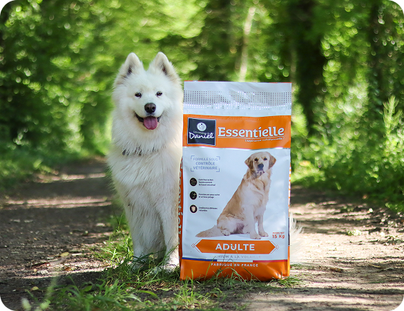 Depuis 1987, leur bien-être est notre priorité