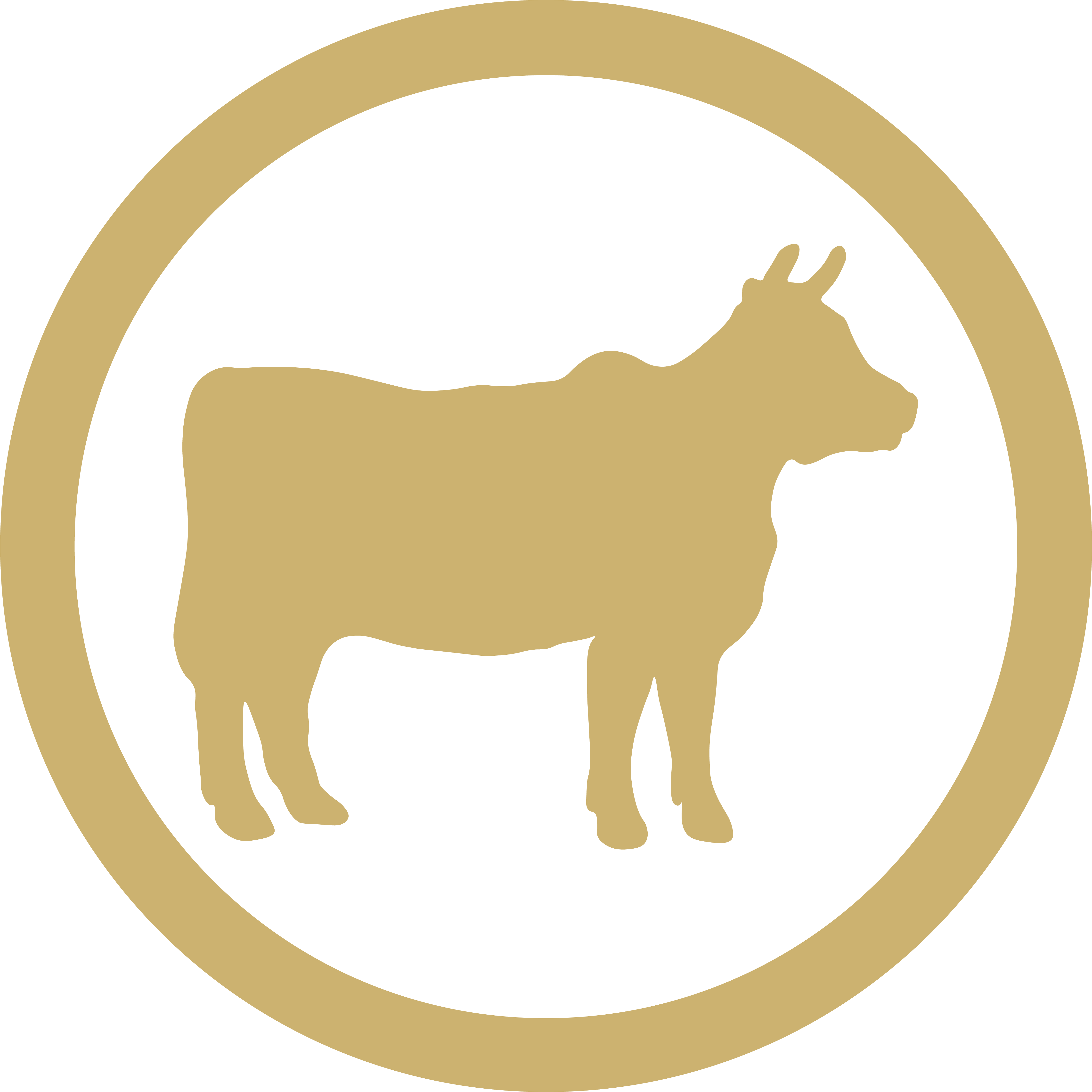 Boeuf