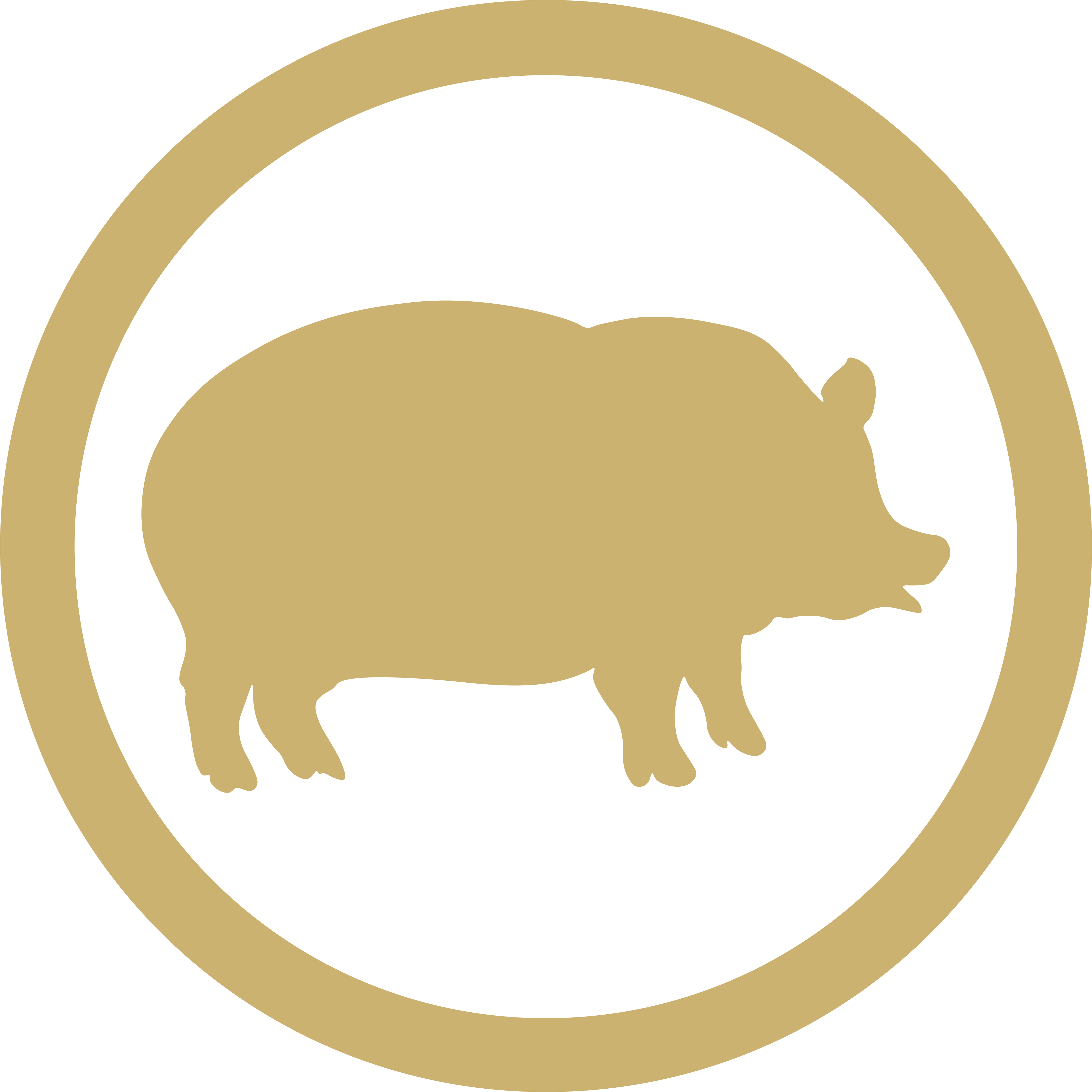 Porc