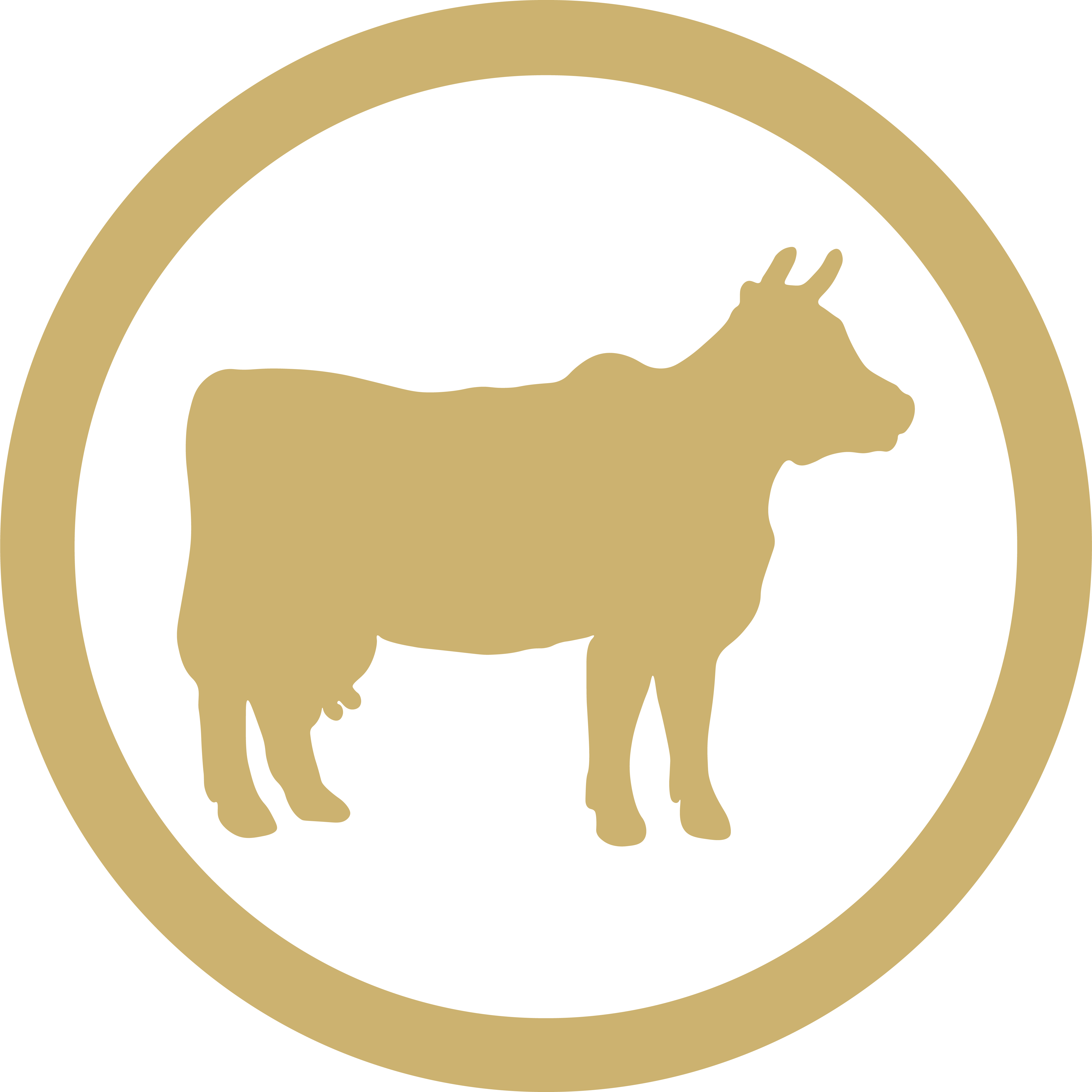 Vache 