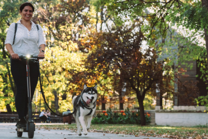 En balade avec son chien, il gratte le sol et fait une découverte émouvante