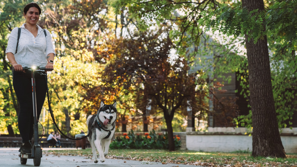 En balade avec son chien, il gratte le sol et fait une découverte émouvante