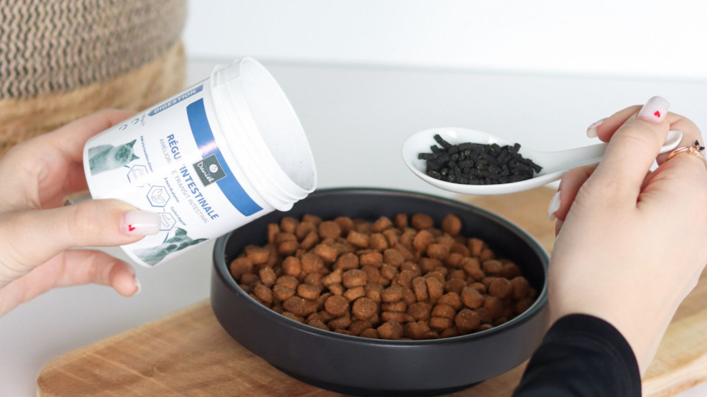 Santé digestive du chien et du chat : comprendre, prévenir et agir