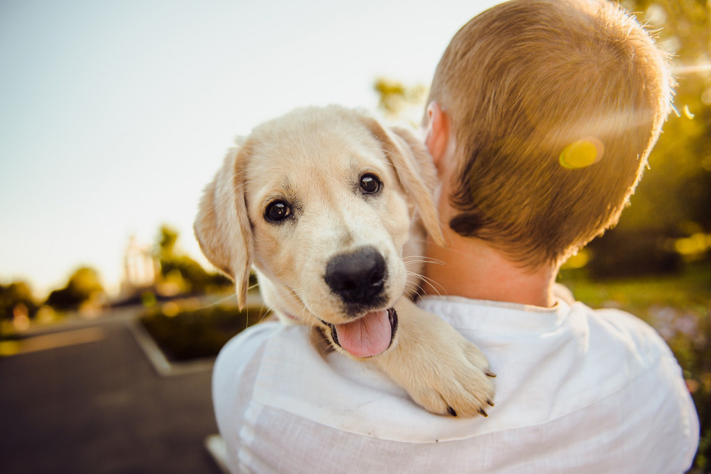 Comment choisir le nom de son chiot en 2022 ? 